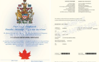 citizenship application